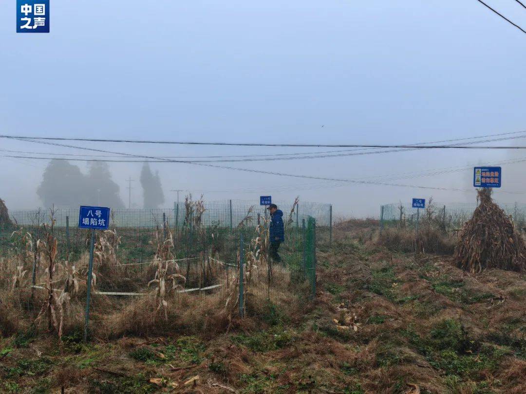 皇冠信用登2代理_贵州一地发生30多处地面塌陷皇冠信用登2代理！咋回事？