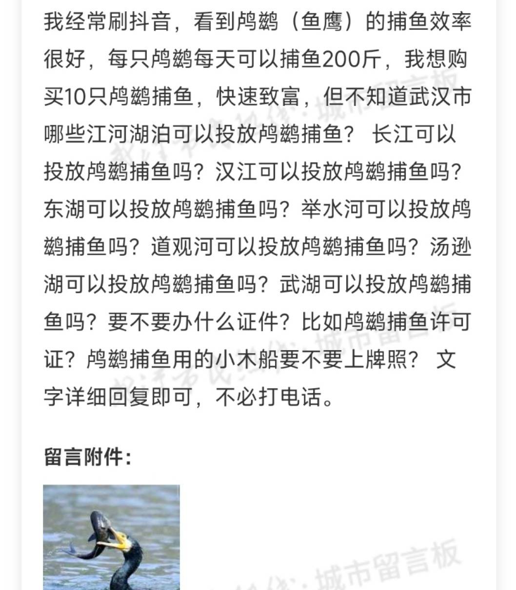 洛杉矶v艾斯柏兰斯_市民欲买10只鸬鹚在长江捕鱼致富洛杉矶v艾斯柏兰斯，水务局：它是禁用渔具，在禁渔区使用最高可判三年