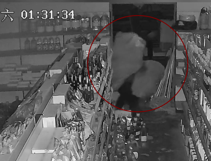 皇冠2登录welcome
_青岛某超市凌晨突然出现神秘黑影皇冠2登录welcome
,披着烂麻袋低着头,当他终于转过脸来,警察都气笑了