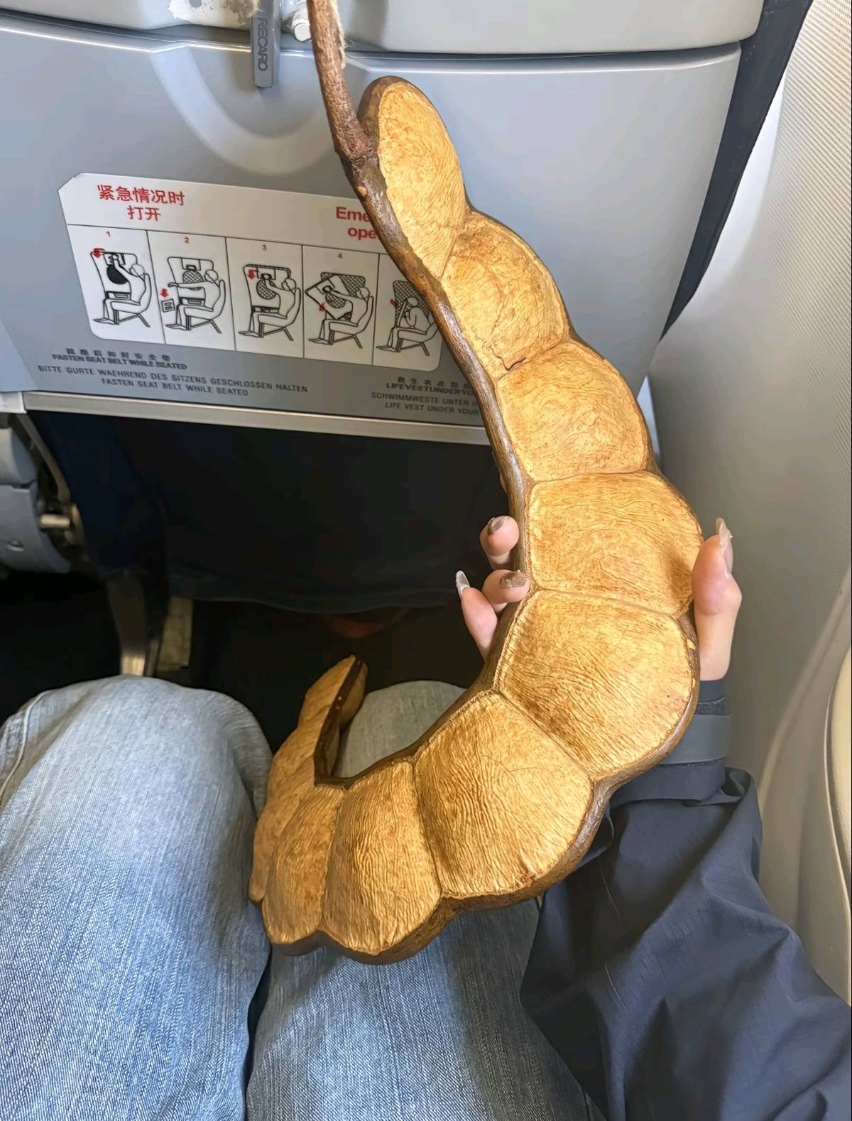 足球信用网平台 _女子带1米长巨大豆荚坐飞机回东北引围观足球信用网平台 ，本人称已跨越4000公里落地，机场客服：可随身携带